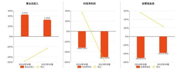 南宁股票配资 济高发展(600807.SH)：2025年中报净利润为-4667.66万元，同比亏损放大